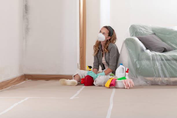 Reliable Mold Remediation contractor in Garden City, MI by Cheap Mold Removal